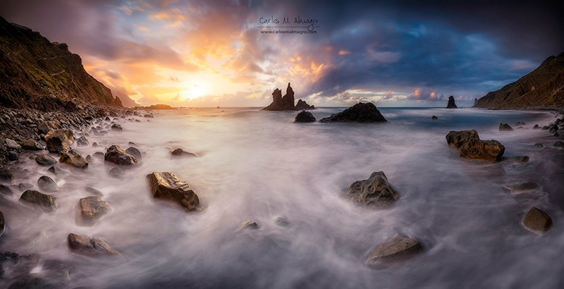 A-taste-of-the-sea-copia-2