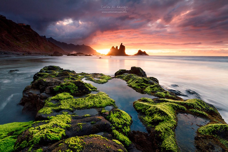 I-want-you-back-copia