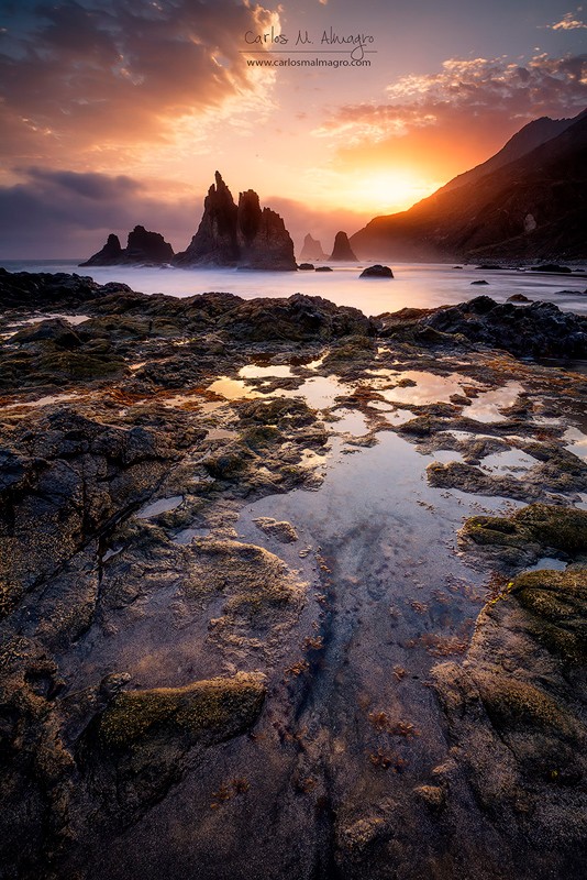 Land-of-giants-copia