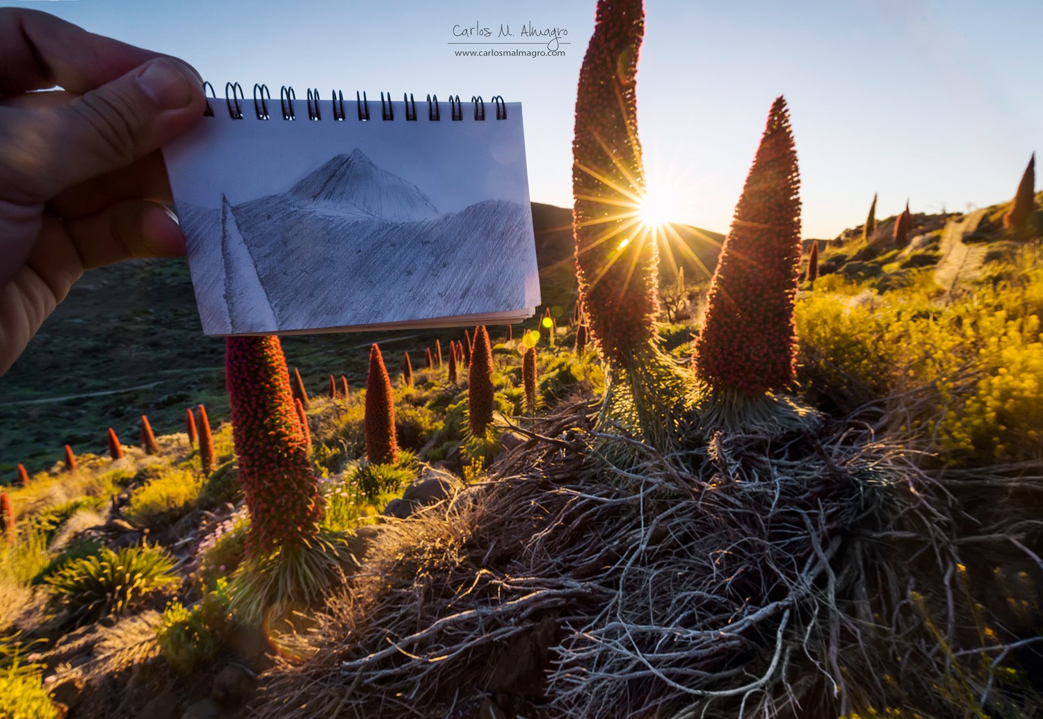 Boceto-de-un-atardecer-copia