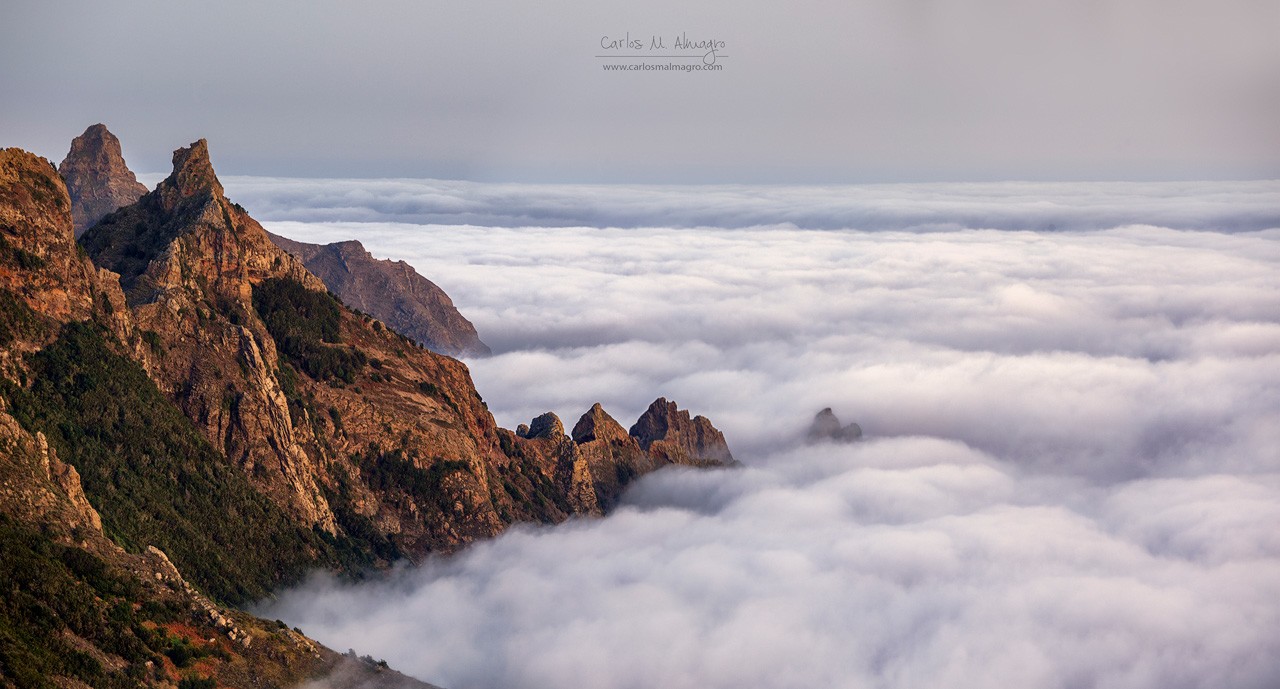 16---_MG_0615_b-copia